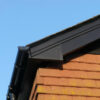 black fascia